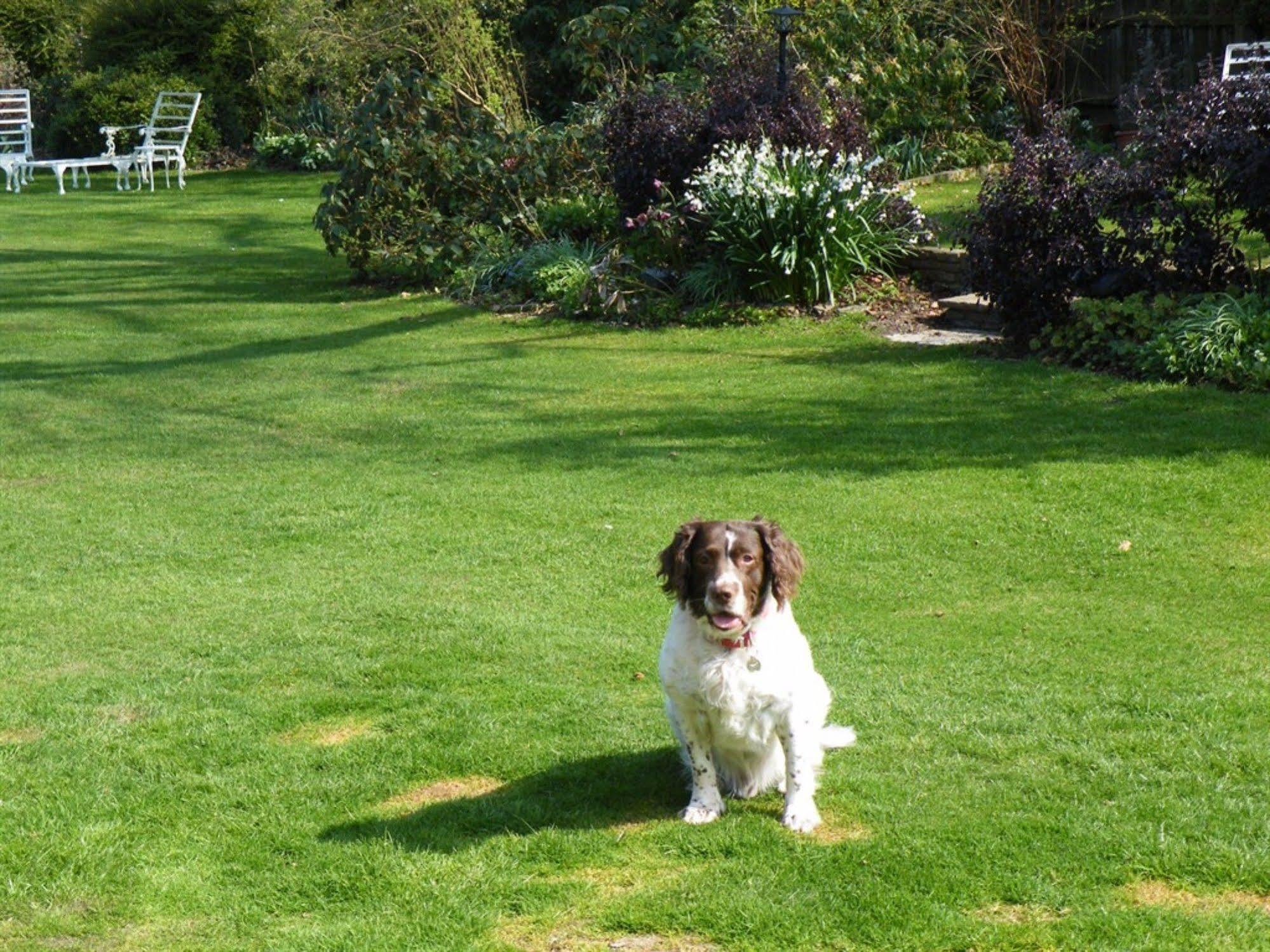 Broadlands Gate Bed & Breakfast Brockenhurst Bagian luar foto